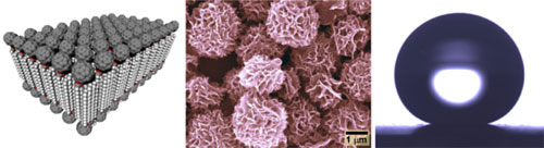 "Figures:Self-assembled bimolecular film structure of the fullerene compound used in this research (left).Scanning electron microscope image of micro-particles with a nano-sized flake structure on the surface formed by self-assembly in dioxane (middle).Photograph of measurement of contact angle with water displaying a super-water repellent property on the film, when a thin film of the micro-particle structure was spread on a substrate (right)." Image