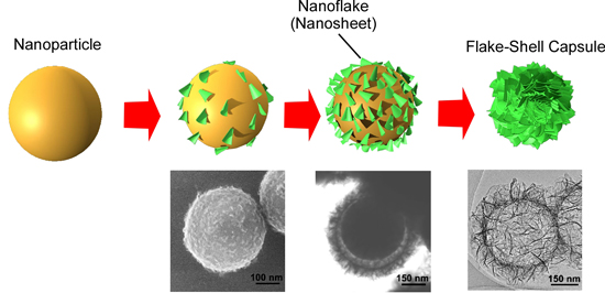 "Fig. Formation of the flake shell.The flake shell is formed by dissolving silica nanoparticles from the outside and precipitation/aggregation of nanosheets in the surrounding area." Image