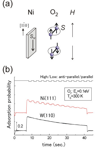 "Figure 1 : (a) Control of the O2 spin direction by the defining magnetic field. (b) Spin-dependent O2 adsorption on a Ni(111) film surface. The adsorption probability is changed when the O2 spin direction relative to the majority spin direction of the Ni film (SM) is alternated. No spin-dependent effect is observed for O2 adsorption on a non-magnetic W(110) surface." Image