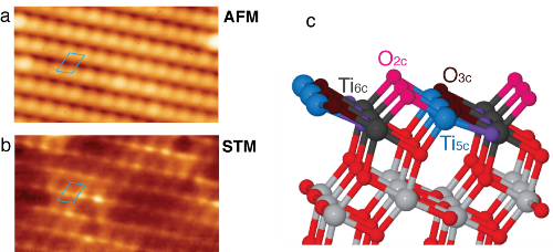 "Simultaneous atomic-scale AFM (a) and STM (b) images of the (101) surface of anatase titanium dioxide. The parallelograms indicate the same surface area in (a) and (b). The positions of maximum signal (bright spots) in the AFM and STM images clearly differ. By using single water molecules as atomic markers and combining simultaneous AFM and STM measurements with first-principles calculations, the authors demonstrated that the AFM images the first atomic layer of oxygen atoms -pink spheres in the model of the anatase (101) surface depicted in (c)- and the STM images the titanium atoms at the third atomic layer -dark gray spheres in (c)." Image