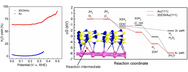 "Figure 1 in the press release. (Left) Water formation rate. The heterojunction electrocatalyst (red line) synthesize water much more efficiently than just Au (blue line). (Right) Reaction pathway for gold surface (black line) and the heterojunction electrocatalyst (red line)." Image