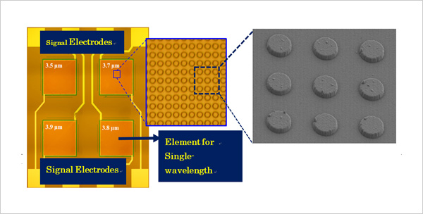 "figure: (left) Signal electrodes, (right) Element for single wavelength." Image