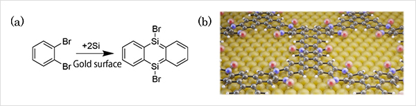 "Figure.(a) On-surface chemical reaction developed in this research. (b) Schematic of the silicon-integrated COF film synthesized on the gold surface. Bromine atoms (Br): red spheres; silicon atoms (Si): purple spheres; carbon atoms: black spheres; hydrogen atoms: white spheres; and gold atoms on the substrate surface: gold spheres." Image