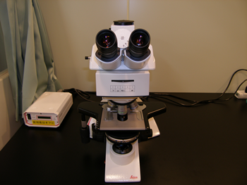 正立蛍光顕微鏡デジタルカメラシステム