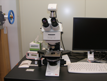 正立蛍光顕微鏡デジタルカメラシステム