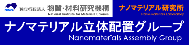 Nanomaterials Assembly Group