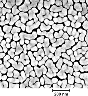 「図1 SEIRA感度の最適化された金ナノシート膜の走査電子顕微鏡像。」の画像