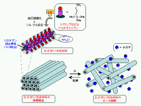 「原料となる 3-アミノプロピルトリメトキシシランの反応によるロッド状シリカ系材料の合成と水への溶解を表したイメージ図。」の画像