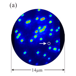 「プレス資料中の図2: NN4ペア発光のサンプル面内の顕微イメージング像。1つの輝点が0.771nmの距離を持つN原子のペアに対応。図中の白丸は1つの発光点を切り出すために用いたピンホールのサイズ。」の画像