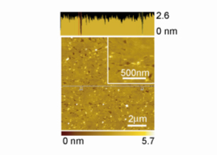 「プレス資料中の図2: ガラス基板上に作成した酸化ニオブナノシートシード層の表面構造 (原子間力顕微鏡像)」の画像