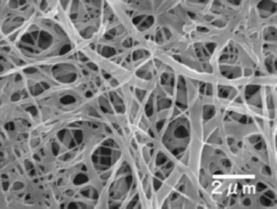 「写真1: サンプル提供されるキトサンナノ繊維を用いた細胞培養基材のSEM画像」の画像