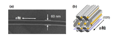 「プレス資料中の図2 : (a) 分子ワイヤの電子顕微鏡写真(b) 分子ワイヤ内での分子配列　分子面が重なったa軸方向が長軸方向と一致している。」の画像