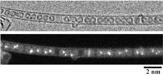 「図5: 新型電子顕微鏡で撮影されたエルビウム金属入りフラーレンの電子顕微鏡像加速電圧を低くした (60kV) ために、フラーレン分子が壊れることなく撮影されている。」の画像