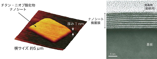 「プレス資料中の図2: チタン・ニオブ酸化物ナノシートの原子間力顕微鏡像 (左) とナノシート積層膜の断面透過型電子顕微鏡写真 (右)」の画像