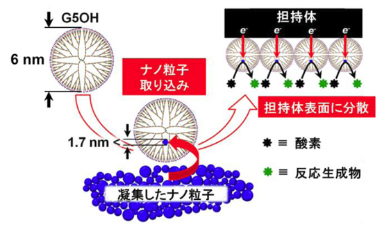 「プレス資料中の図1: デンドリマーによる金属ナノ粒子の取り込み・担持体表面への分散・燃料電池触媒反応」の画像