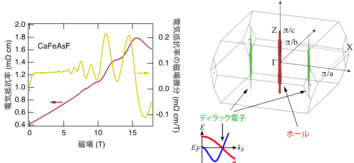 「(左) CaFeAsFの電気抵抗とその磁場微分。電気抵抗が約5 Tより高磁場で上下にうねっているのが量子振動 (赤色のライン) 。微分では振動がよりはっきりと見える (黄色のライン) 。測定温度は絶対温度0.03 K。 (右) バンド計算によるフェルミ面。赤色で示したホール的なフェルミ面と緑色の電子的フェルミ面がある。下にある挿入図はエネルギーバンドの計算結果の一部。赤と青で示した二つのエネルギーバンドが交差するところにディラック電子が出現し緑色の電子的フェルミ面を作る。」の画像