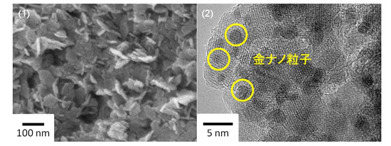 「プレスリリース中の図 : (1)ナノフレーク状の酸化鉄ナノ多孔体の電子顕微鏡像。(2) 金ナノ粒子をナノフレーク状の酸化鉄ナノ多孔体に担持した電子顕微鏡像。」の画像