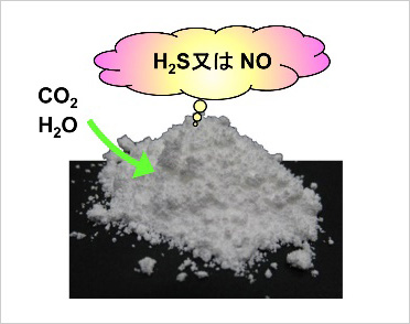 「プレスリリース中の図 : 大気に触れると硫化水素 (H2S) や一酸化窒素 (NO) を放出する固体材料」の画像