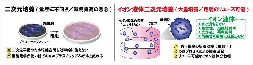 「プレスリリース中の図 : 従来の二次元細胞培養と本研究の提案するイオン液体三次元培養の比較」の画像