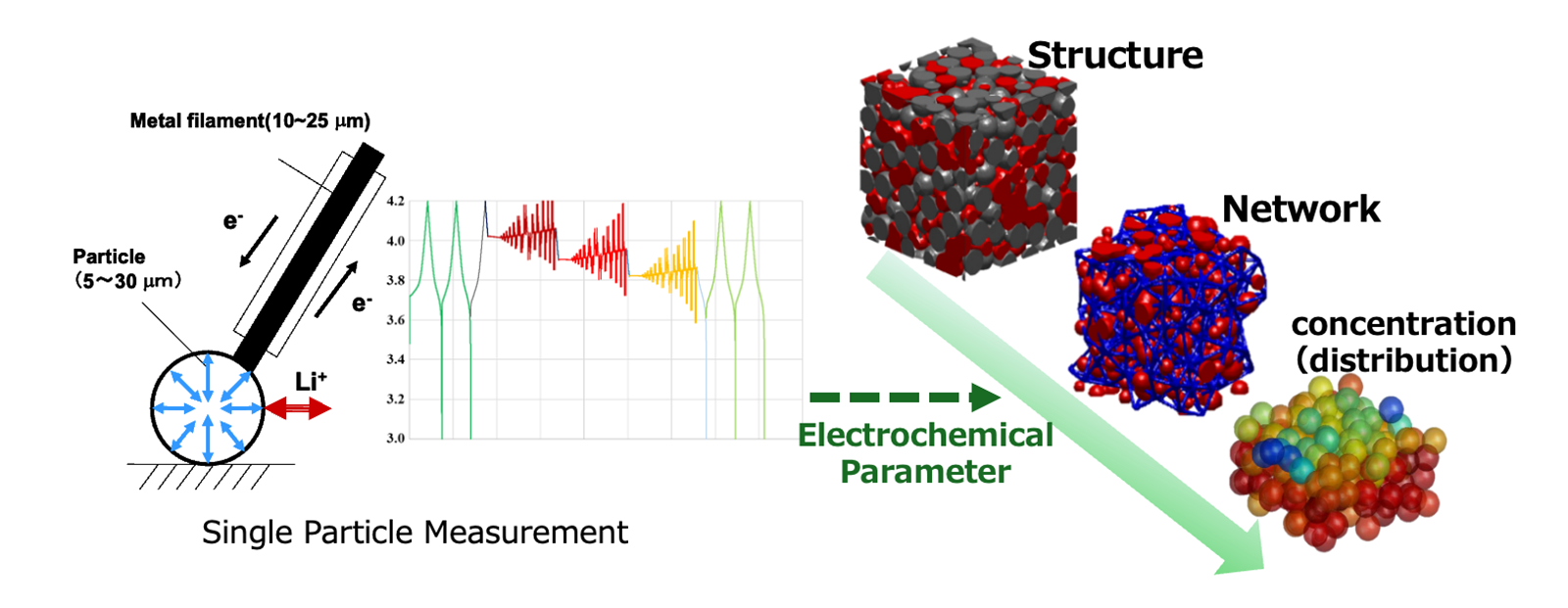 Electrode particle design based on reaction transport models