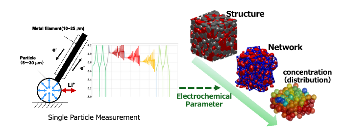 Electrode particle design<br>
based on reaction transport models