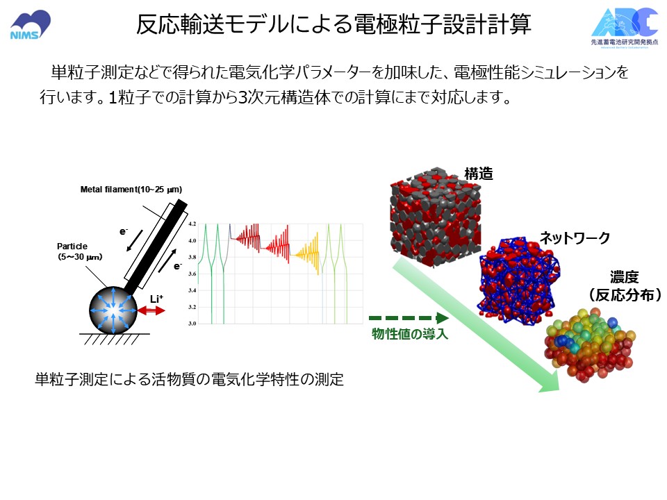 反応輸送モデルによる電極粒子設計計算