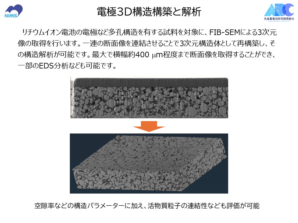 電極３D構造構築と解析