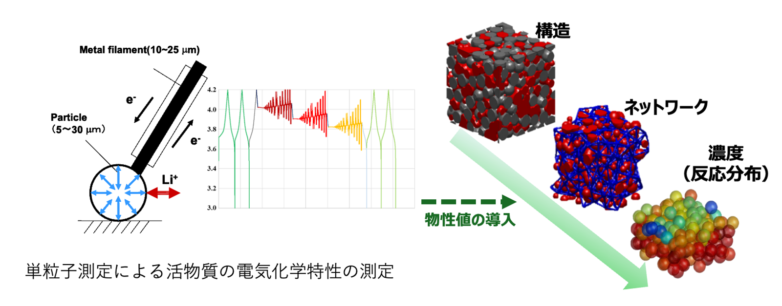 反応輸送モデルによる電極粒子設計計算