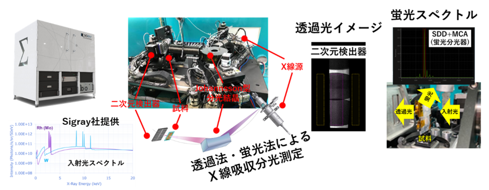 オペランド電極反応解析