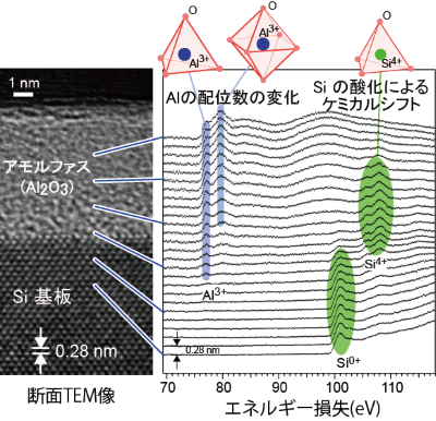 High-resolution cross-sectional TEM image of an amorphous Al2O3 layer on a Si substrate. To the right, a series of EEL spectra are plotted as stacked lines, showing energy loss from 70 to 120 eV. Blue and green overlays highlight changes in Al and Si coordination and oxidation states, respectively. Above the spectra, schematic diagrams illustrate Al3+ and Si4+ in tetrahedral and octahedral coordination with oxygen. Japanese text labels indicate changes in Al coordination number and chemical shifts due to Si oxidation.