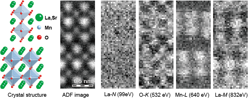STEM-EELS analysis of a perovskite oxide crystal LaSrMnO, showing ADF image and elemental maps for oxygen, manganese, and lanthanum. The leftmost panel overlays a structural model with colored circles and labels for La Sr, Mn, and O. The three right panels display elemental distributions with colored circles highlighting atomic positions.