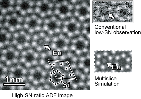 High signal-to-noise annular dark-field (ADF) STEM image showing a regular atomic lattice with a single europium (Eu) atom highlighted by an arrow and labeled Eu. The surrounding silicon (Si) atoms are marked, and a polygon overlays the lattice structure. Insets on the right compare a noisy conventional low-SN observation with a clear multislice simulation, both indicating the Eu atom. Text in the image includes 1 nm, Eu, Si, Conventional low-SN observation, Multislice Simulator, and High SN-ratio ADF image.