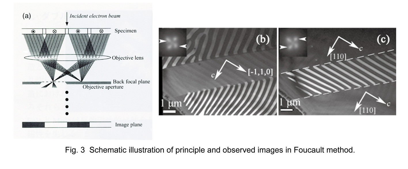 fig3