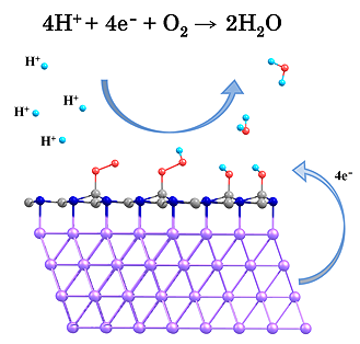 ORR on the metal supported h-BN Materials.