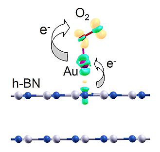 Catalytic activation of O2 on Au/h-BN