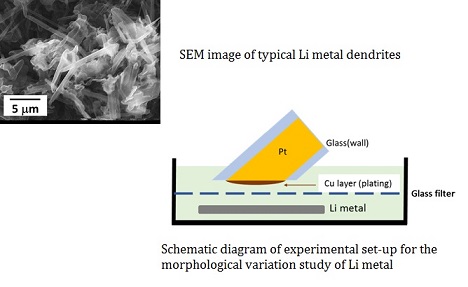 SEM image