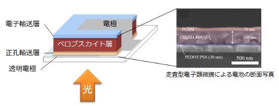 プレスリリースの図1：ペロブスカイト太陽電池の模式図と走査型電子顕微鏡による電池の断面写真