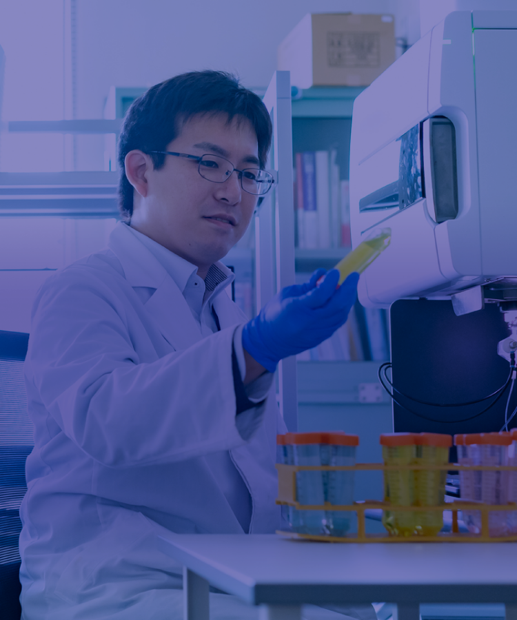 国立研究開発法人物質・材料研究機構 技術開発・共用部門 AESDイメージ02