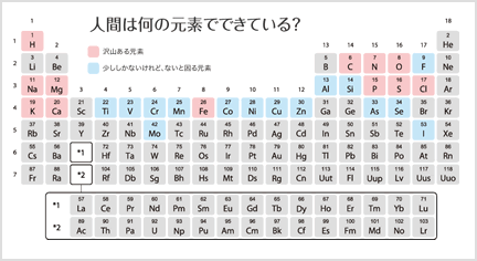 人間は何の元素でできている？