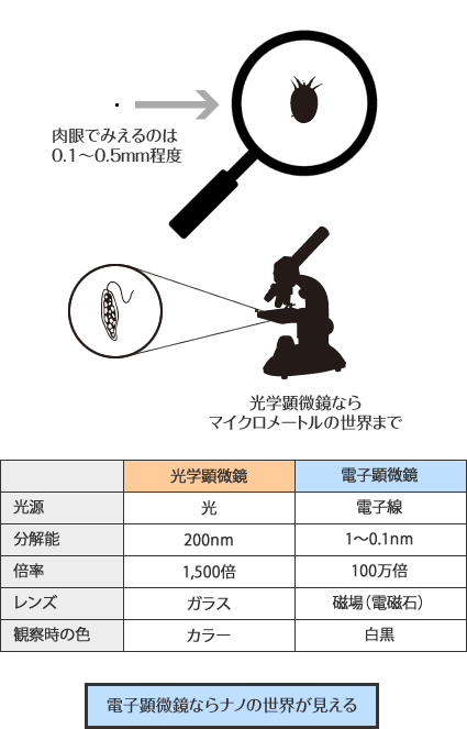 電子顕微鏡ならナノの世界が見える