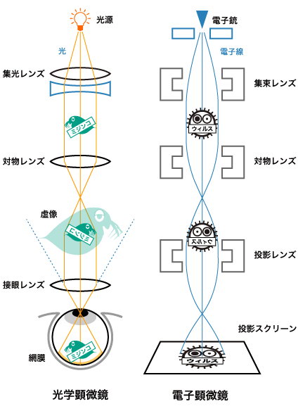 光の進み方