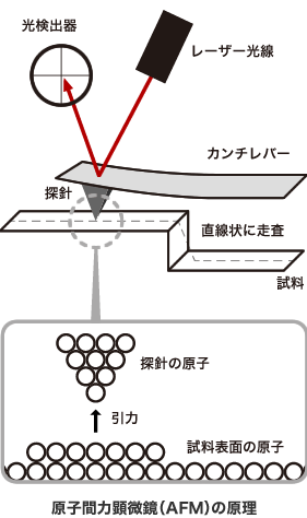 原子間力顕微鏡（AFM）の原理