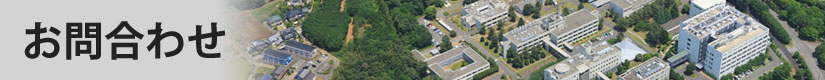 banner_contact.jpg