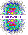 logo1 BIAMS2014 png.png