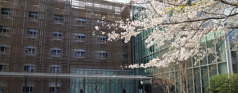 MANA新棟　桜　No.1.jpg