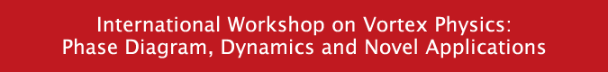 International Workshop on Vortex Physics: Phase Diagram, Dynamics and Novel Applications