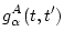 $\displaystyle g_\alpha ^A(t,t')$