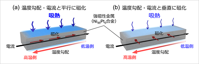 Rajkumar Modak特別研究員、平井孝昌研究員、三谷誠司センター長、内田健一上席グループリーダーは「異方性磁気トムソン効果」の直接観測に初めて成功しました