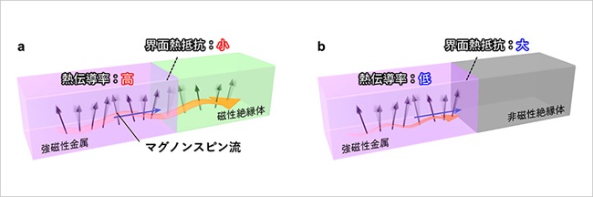 強磁性金属中でマグノンが熱伝導に大きく寄与することを実証