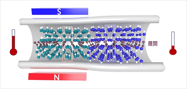 磁気冷凍材料の冷却能力と安定性の両立を可能にする材料設計を開発